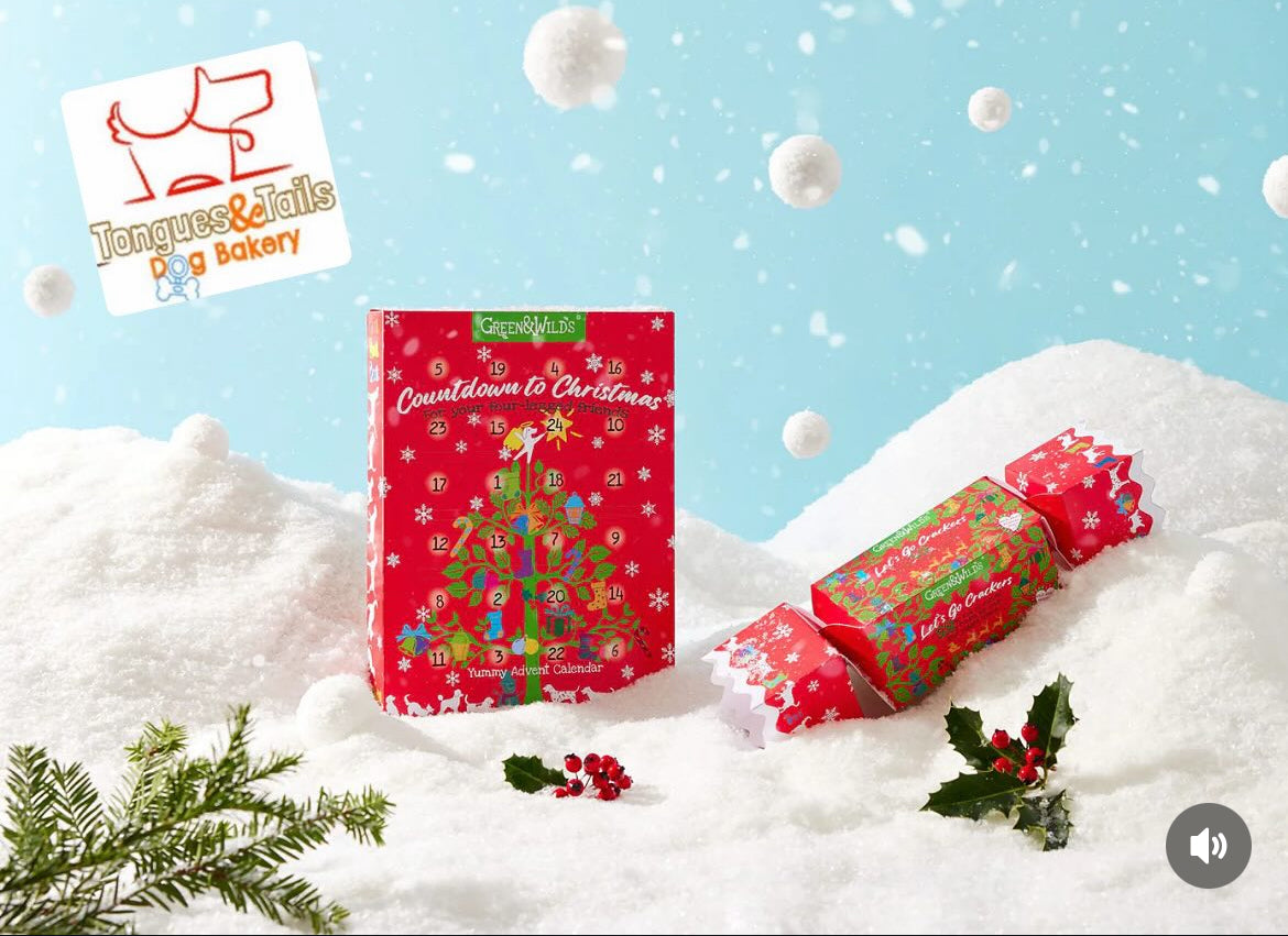 Dog Treats Christmas Cracker