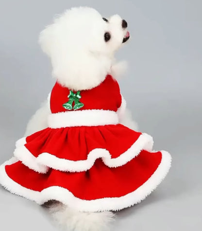 Christmas Dog Dresses Dog