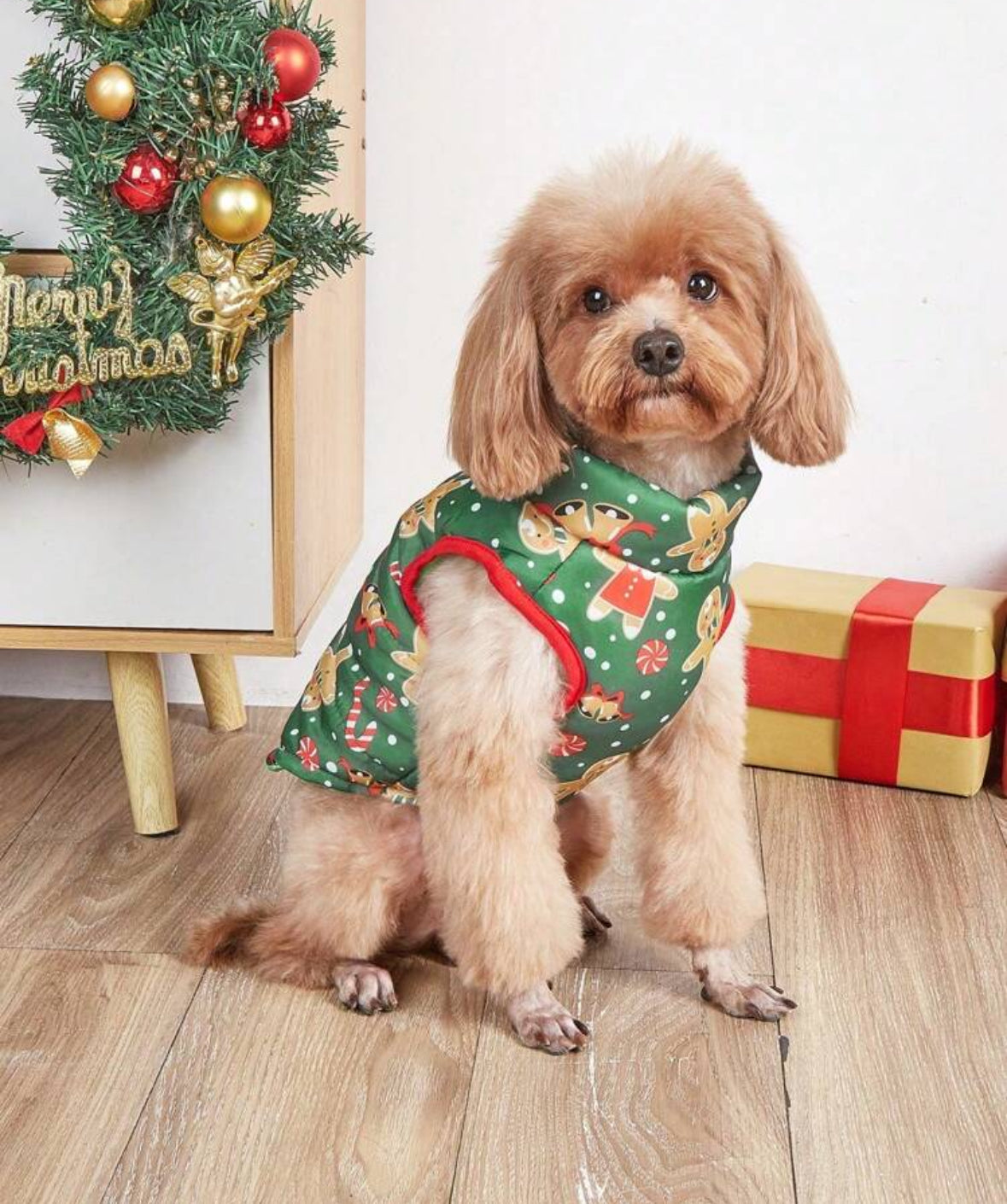 Gingerbread Man Design Pet
Warm Jacket With Lead Hook, Suitable For Cats & Dogs,
Christmas Outfit