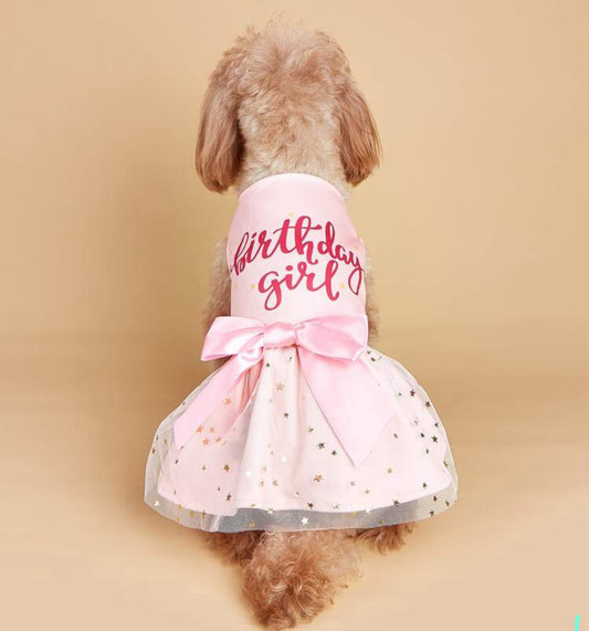 Birthday Dress Pink for Dog