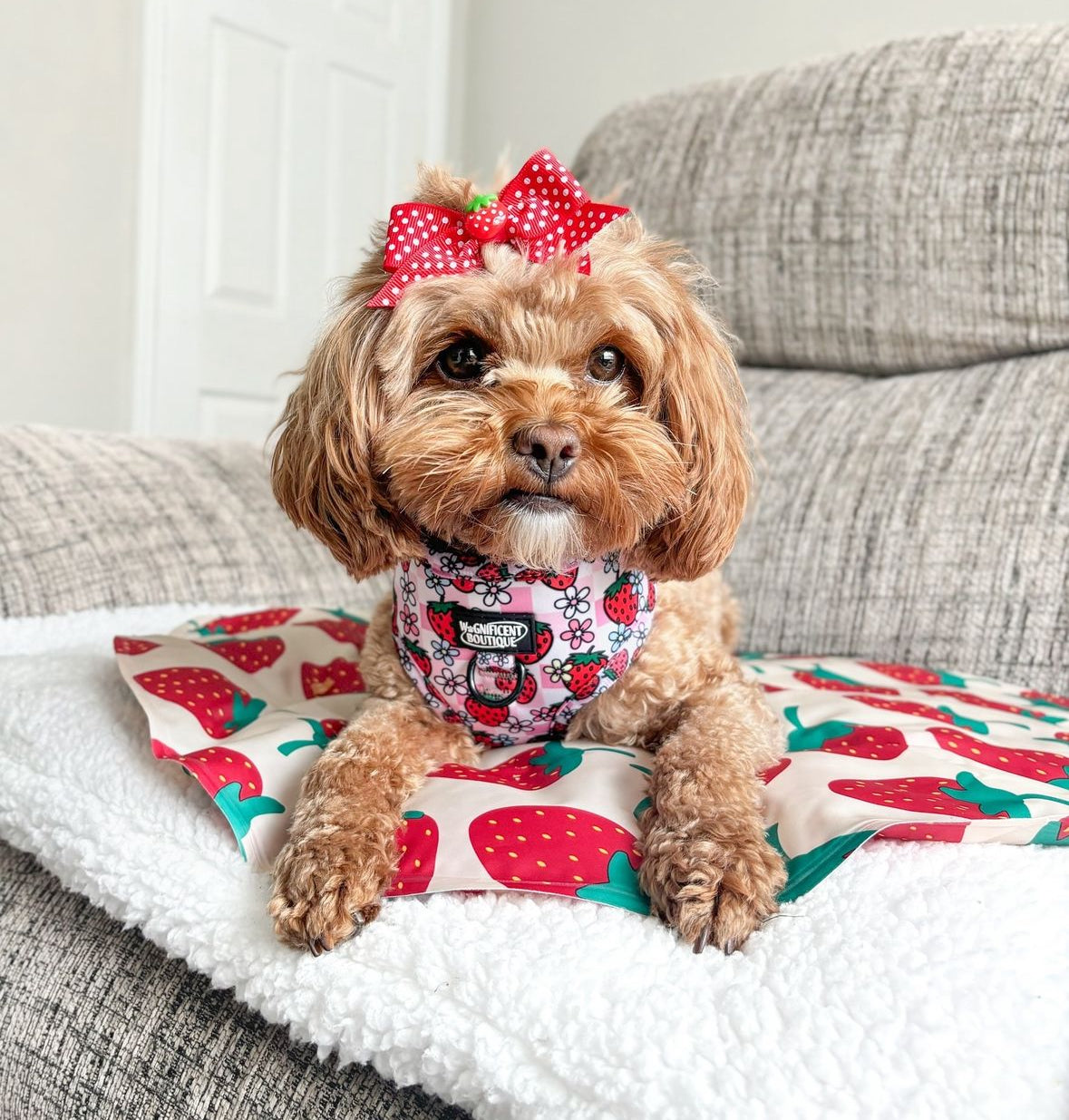 Strawberry Picnic Adjustable Dog Harness