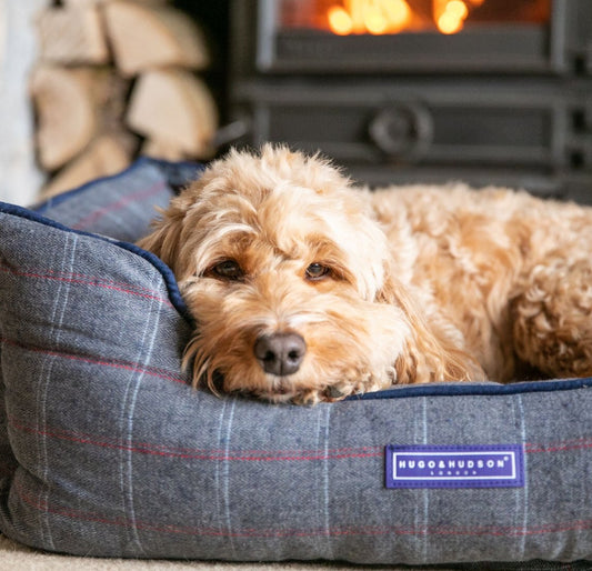 HUGO & HUDSON Luxury Tweed Dog Bed