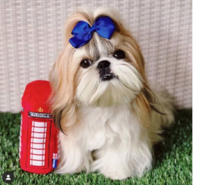 Dog Toys Telebone