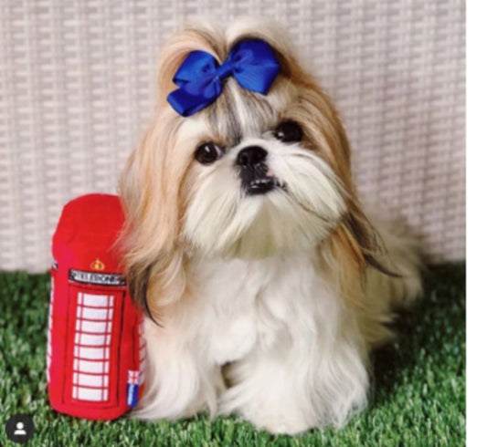 Dog Toys Telebone