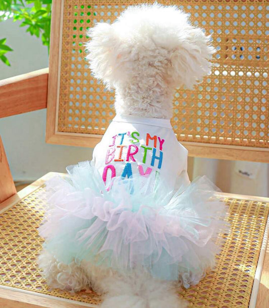 Birthday Dress for Dog