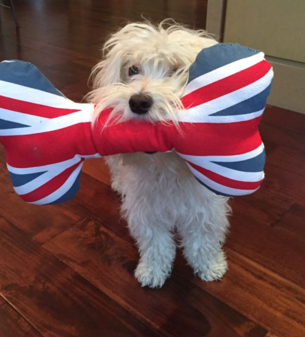 Dog Toys Union Bone