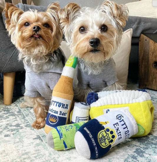 Grrrona Cooler Interactive Toy