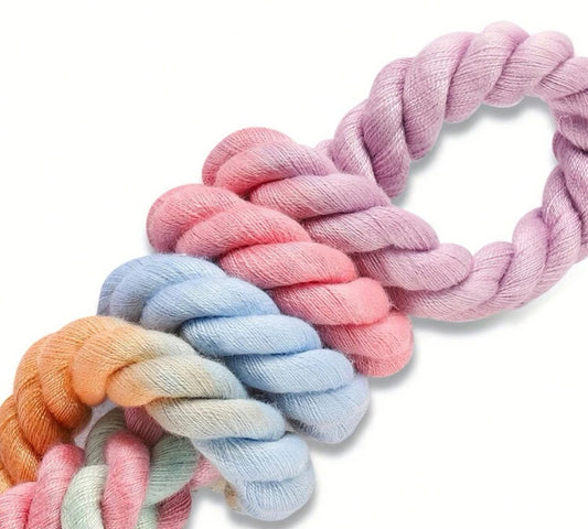 Colorful Braided Durable 
Comfortable Pet Leash, Suitable For medium &Large Dogs