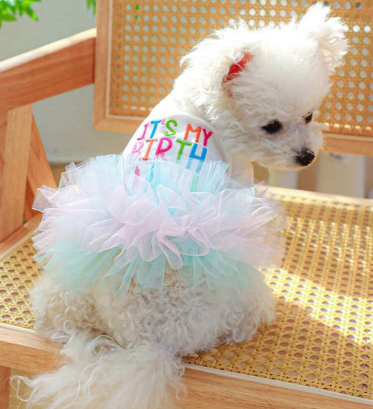 Birthday Dress for Dog