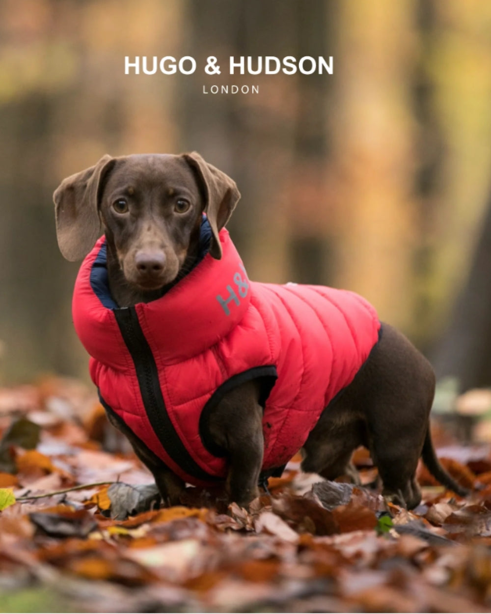 Hugo and Hudson Reversible Dog Puffer Jacket - Red and Navy