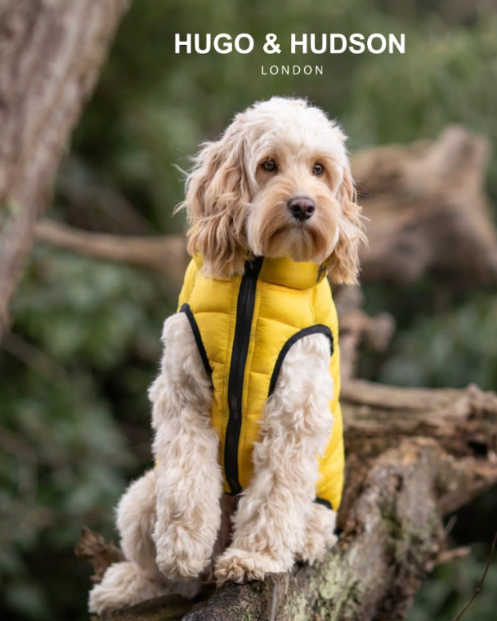 Hugo and Hudson Reversible Dog Puffer Jacket - Yellow and Grey