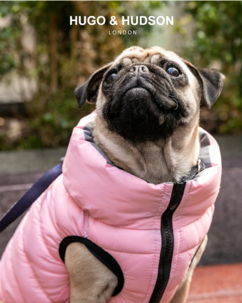 Hugo and Hudson Reversible Dog Puffer Jacket - Light Pink and Grey - Dog Coat