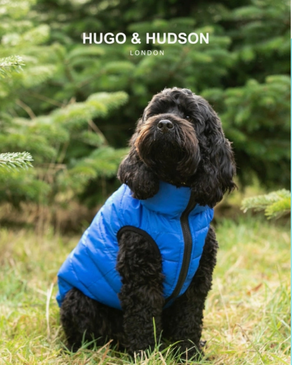 Hugo and Hudson Reversible Dog Puffer Jacket - Blue and Navy - Dog Coats