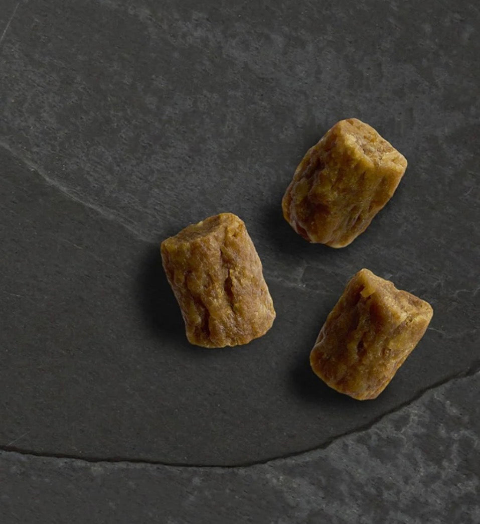 CANAGAN WILD BITES BEEF & PORK FOR DOGS