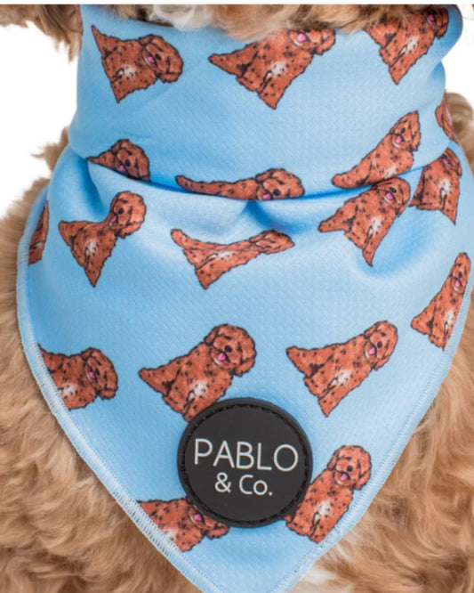 Pablo and Co Cavoodle - Dog Bandana