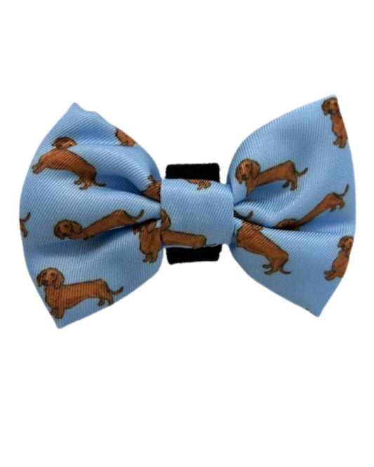 Pablo and Co Dachshund Dog Bow Tie