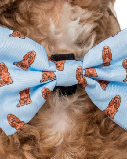 Pablo and Co Cocker Spaniel Dog Bow Tie
