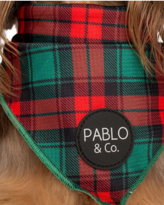 Pablo and Co Winston Plaid- Dog Bandana