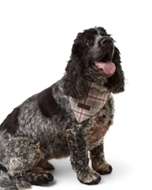 Wainwright's Luxury Winter Check Squared Dog Bandana