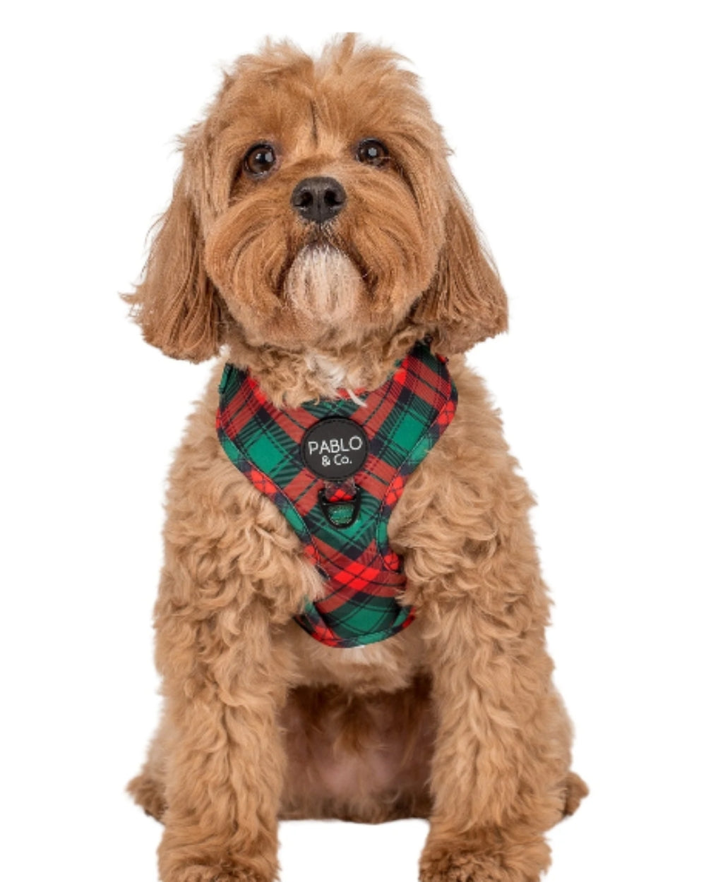 Pablo and Co Winston Plaid Adjustable Dog Harness