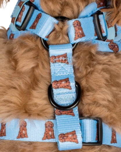 Pablo and Co Golden Retriever Adjustable Dog Harness