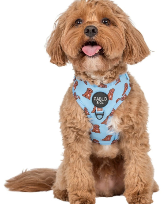 Pablo and Co Cavoodle Adjustable Dog Harness