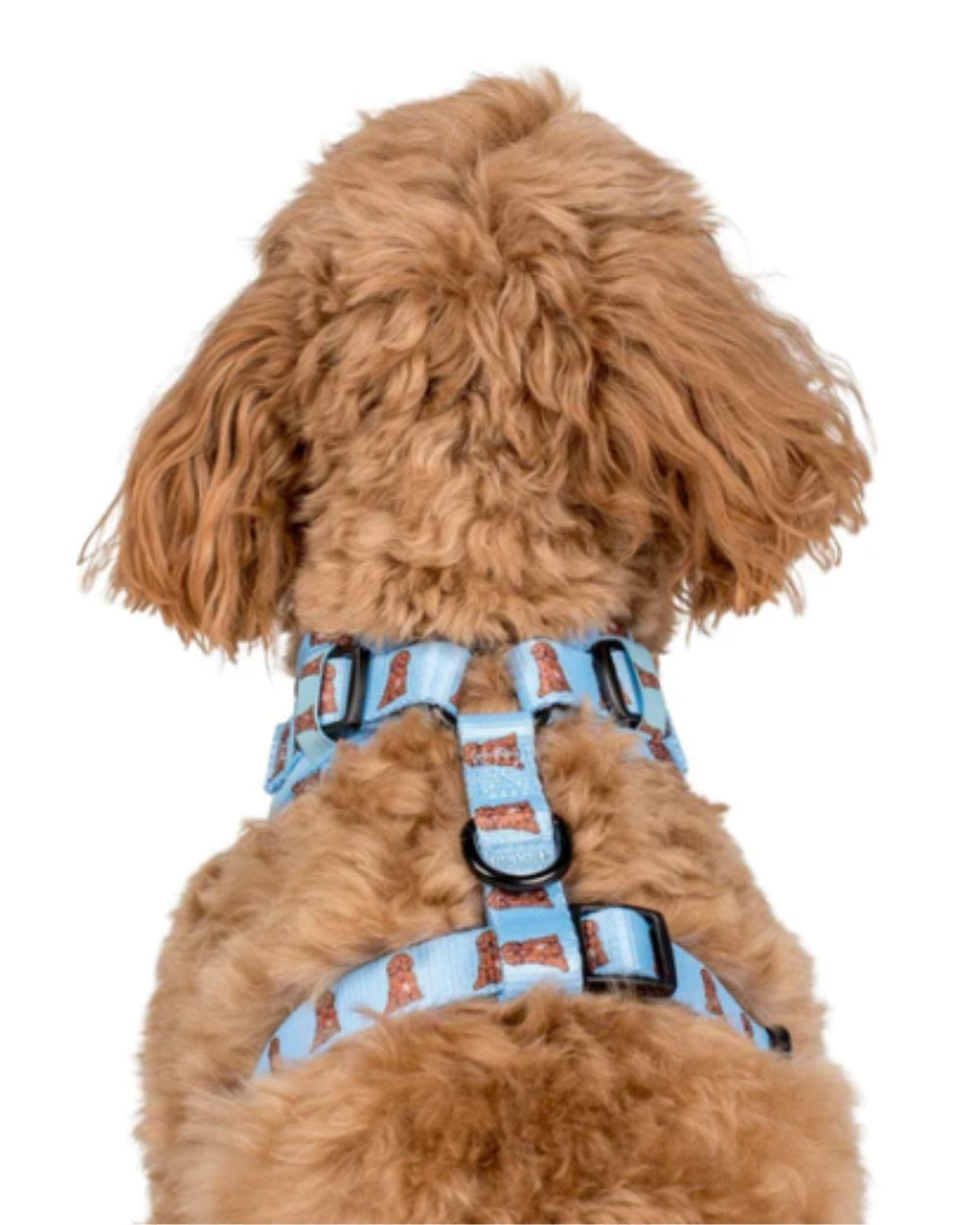 Pablo and Co Golden Retriever Adjustable Dog Harness