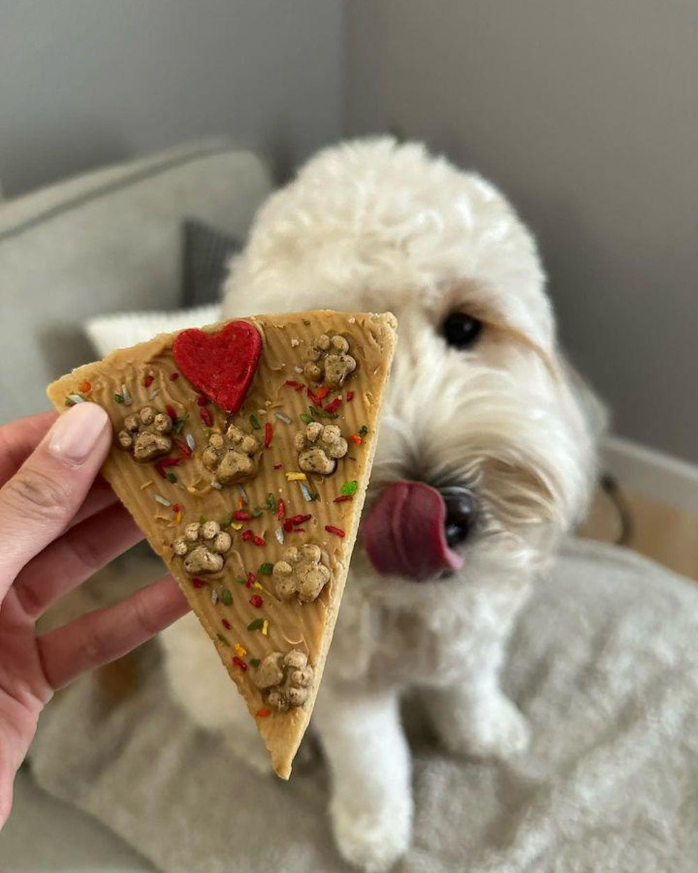 Pizza Dog treat