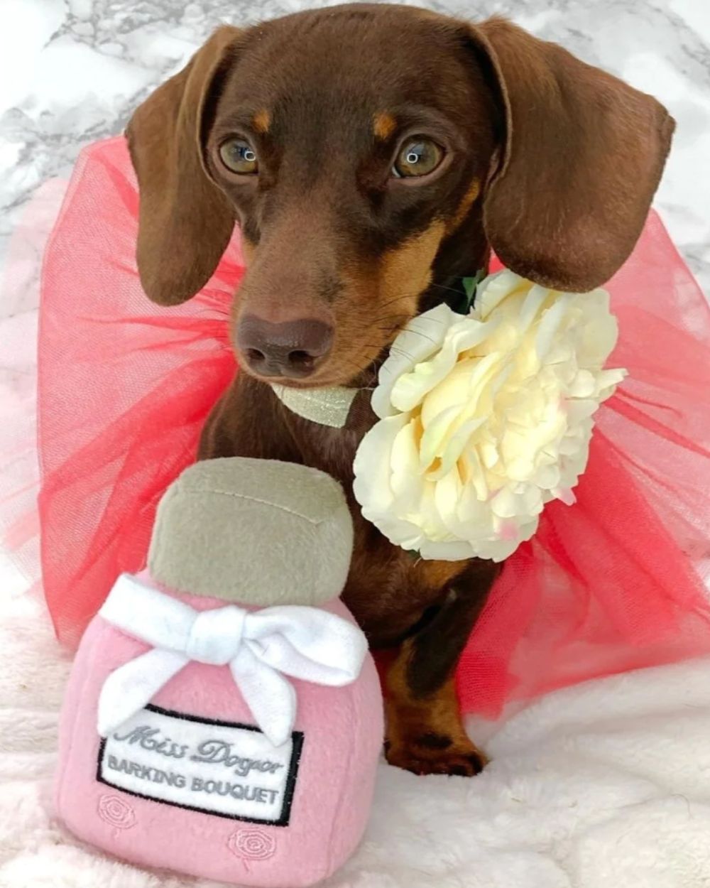 Miss Dogior Perfume Bottle Squeaker Plush Dog Toy Haute Diggity Dog