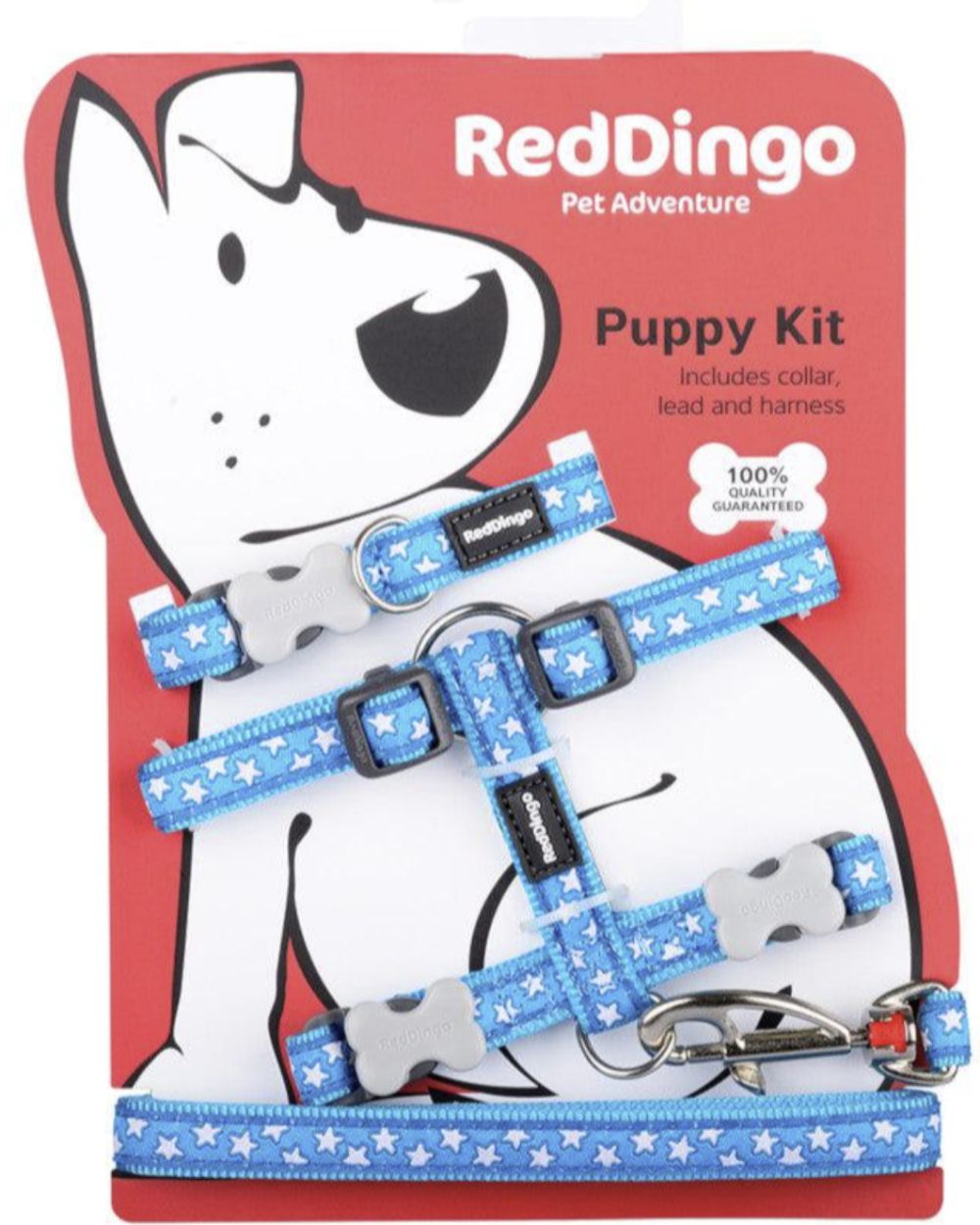 Red Dingo Puppy Kit Collar, Lead and Harness Set - Stars Blue Turquoise One Size
