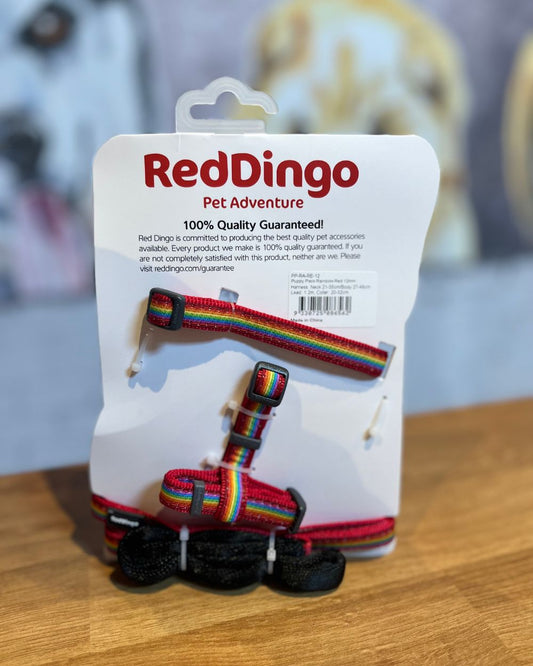 Red Dingo Puppy Kit Collar, Lead and Harness Set - Rainbow One Size