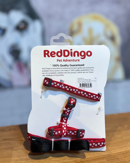 Red Dingo Puppy Kit Collar, Lead and Harness Set - Spots Red One Size