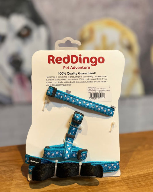 Red Dingo Puppy Kit Collar, Lead and Harness Set - Stars Blue Turquoise One Size
