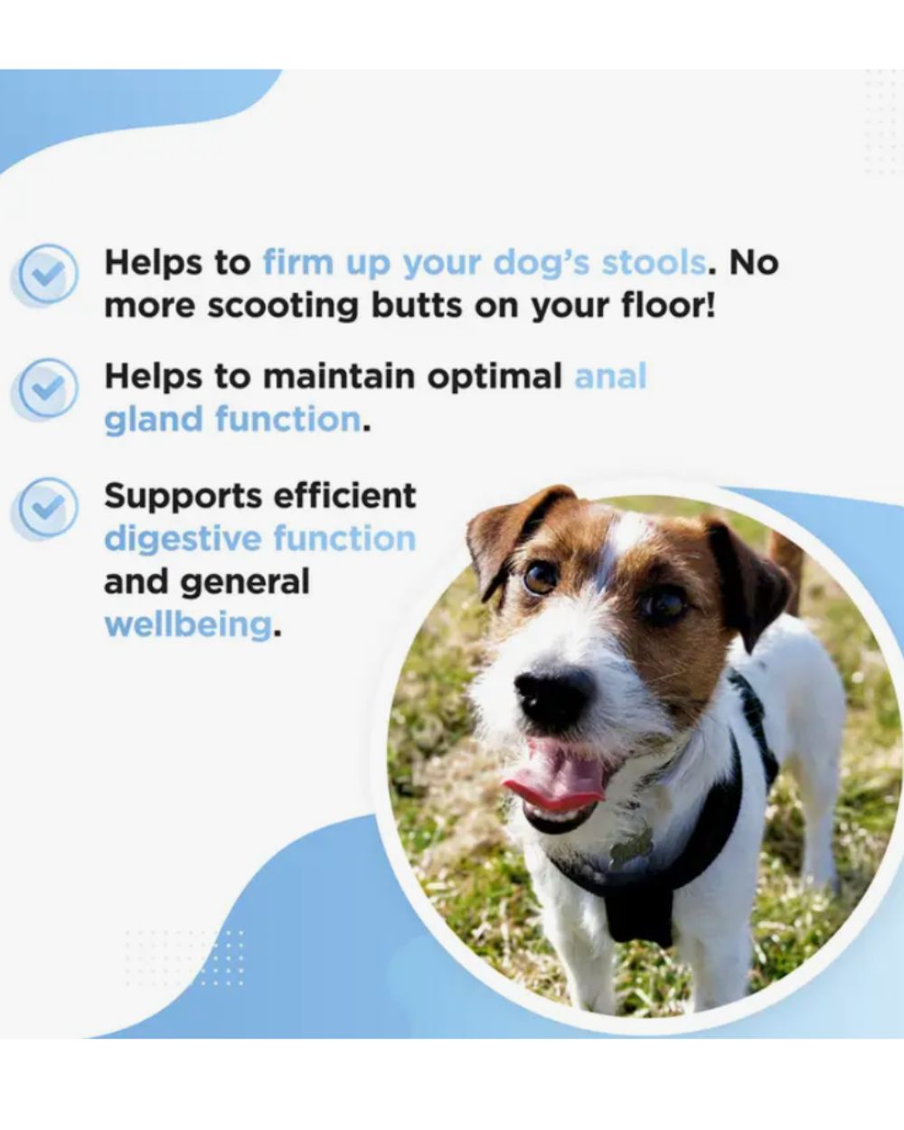 SCOOTER – Anal Gland Supplement for Dogs and Puppies