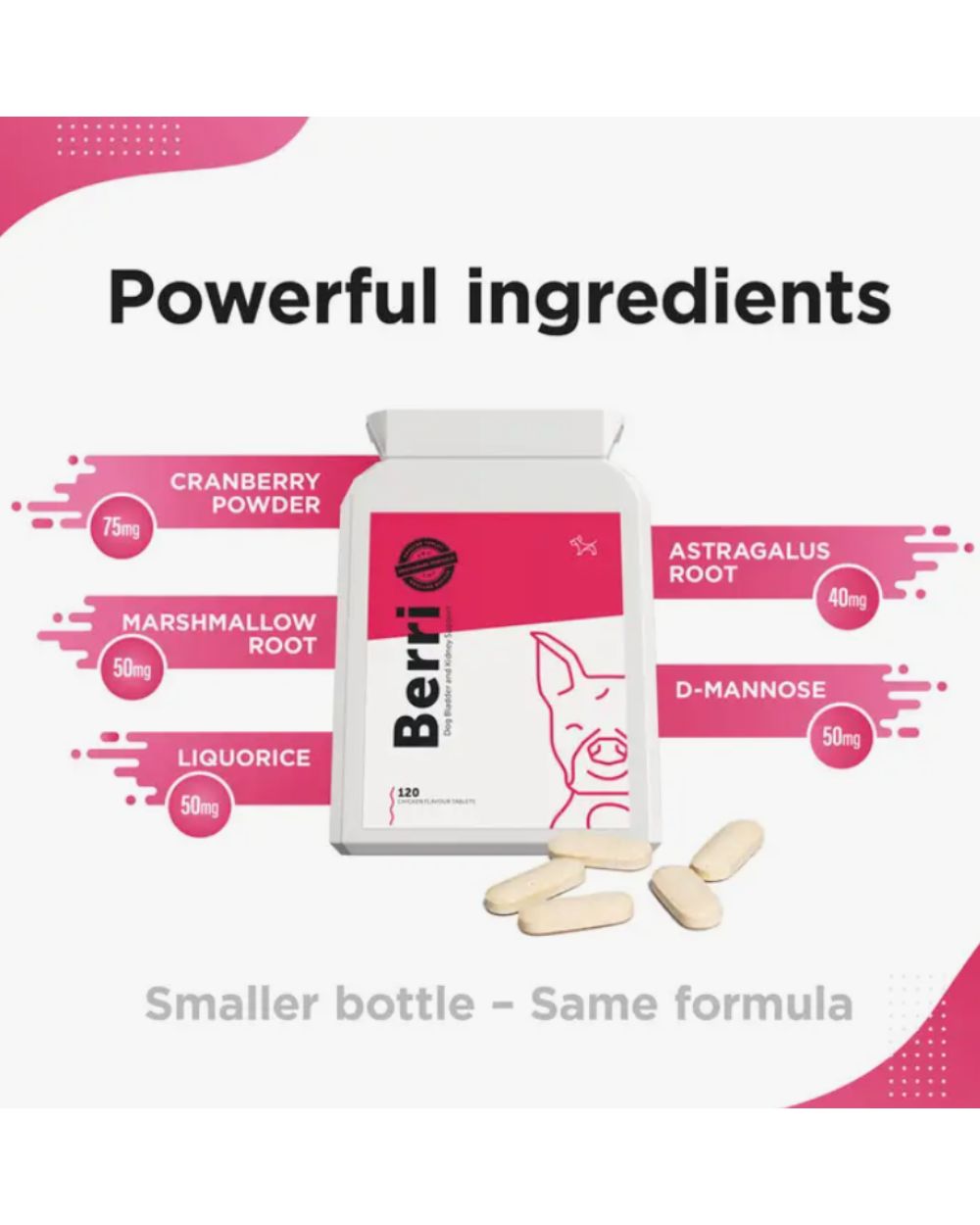 BERRI – Bladder & Kidney Cranberry Support for Dogs