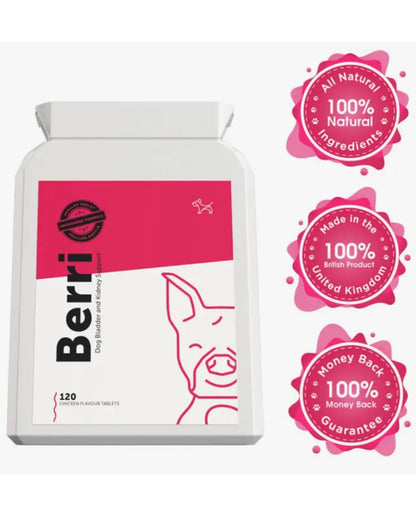BERRI – Bladder & Kidney Cranberry Support for Dogs