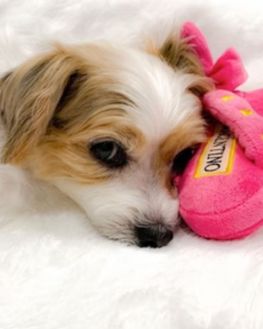Wagentino Sandal Squeaker Plush Dog Toy Haute Diggity Dog