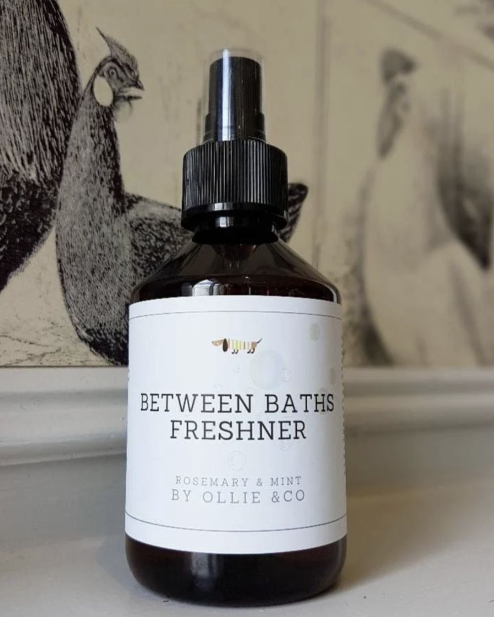 Ollie & Co Between Baths' Dog Freshener Spray with Rosemary & Mint