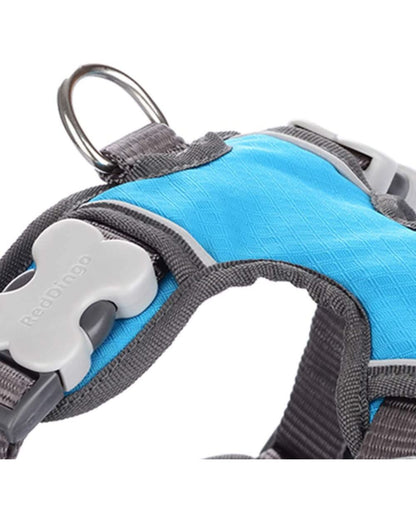 Red Dingo Padded Dog Harness