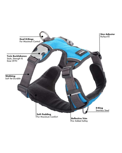 Red Dingo Padded Dog Harness