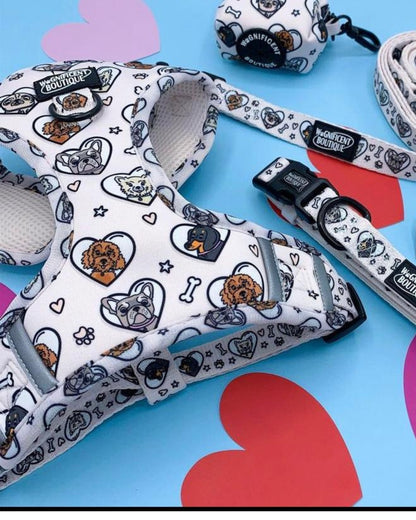Dogs For Days Adjustable Dog Harness
