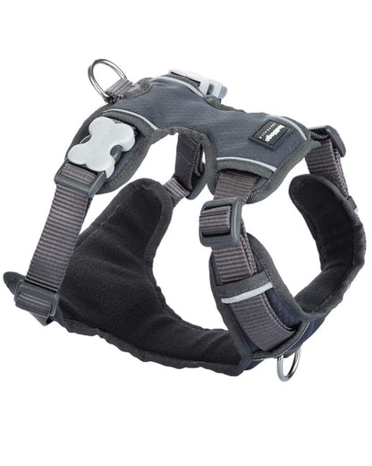 Red Dingo Padded Dog Harness