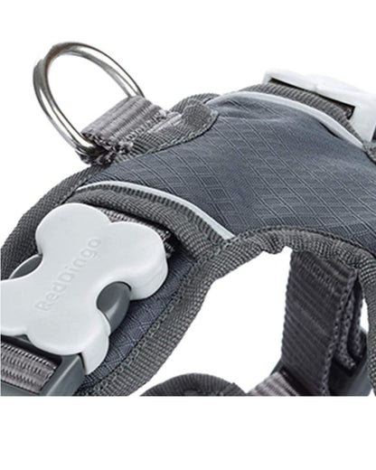 Red Dingo Padded Dog Harness