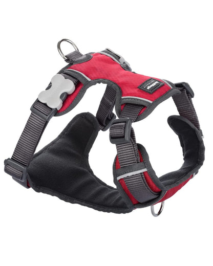Red Dingo Padded Dog Harness