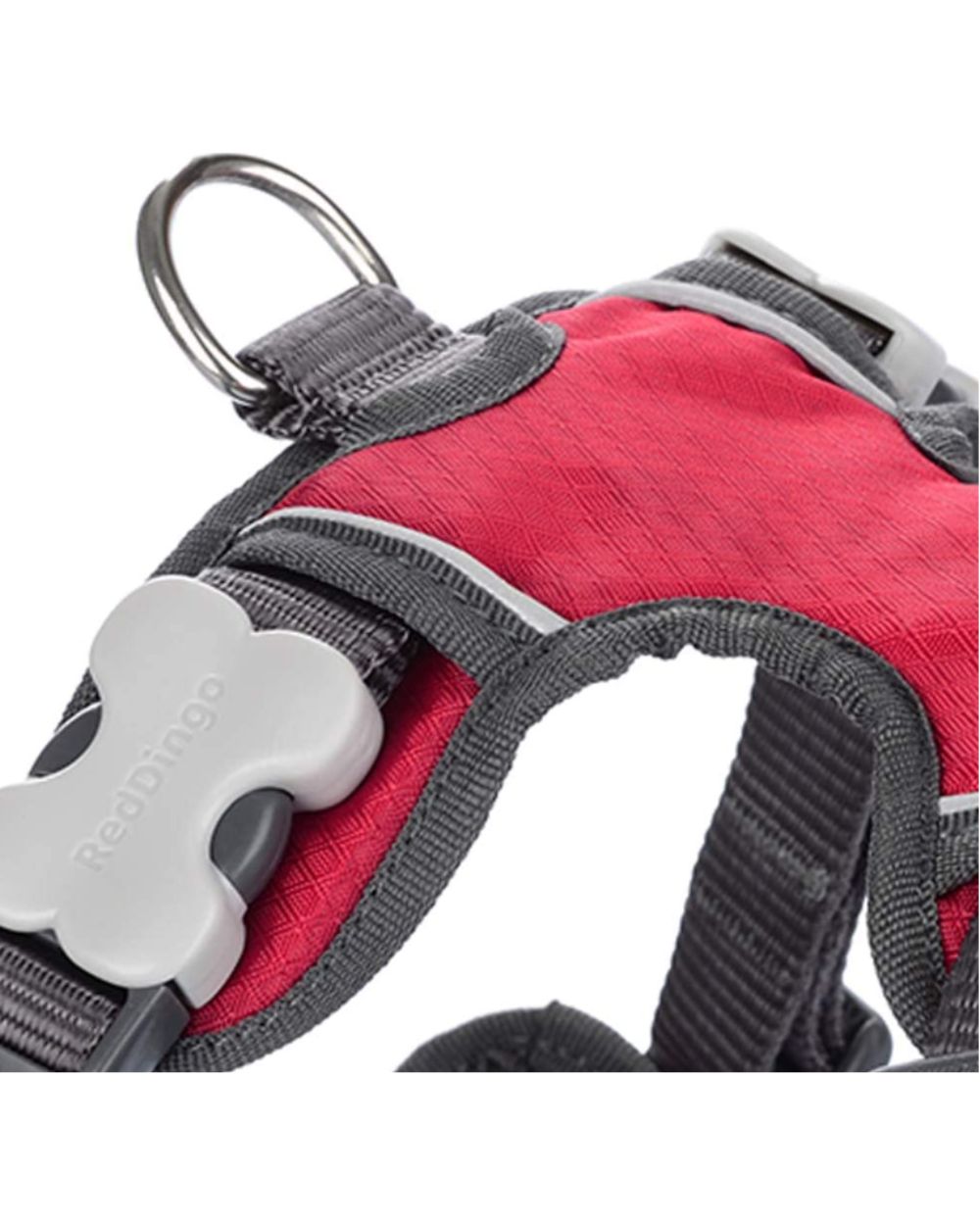 Red Dingo Padded Dog Harness