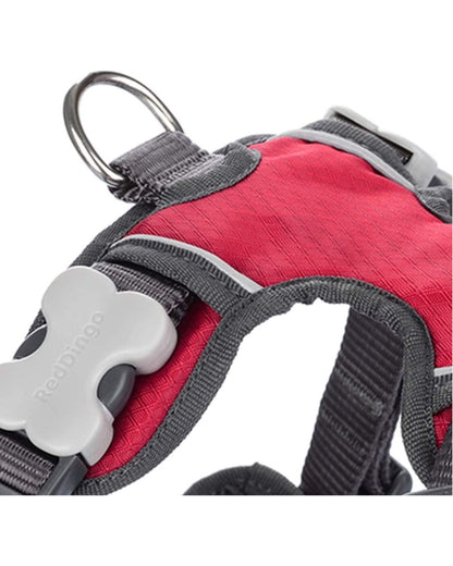 Red Dingo Padded Dog Harness