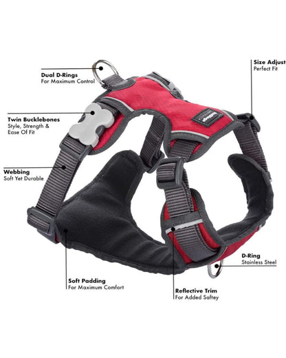 Red Dingo Padded Dog Harness