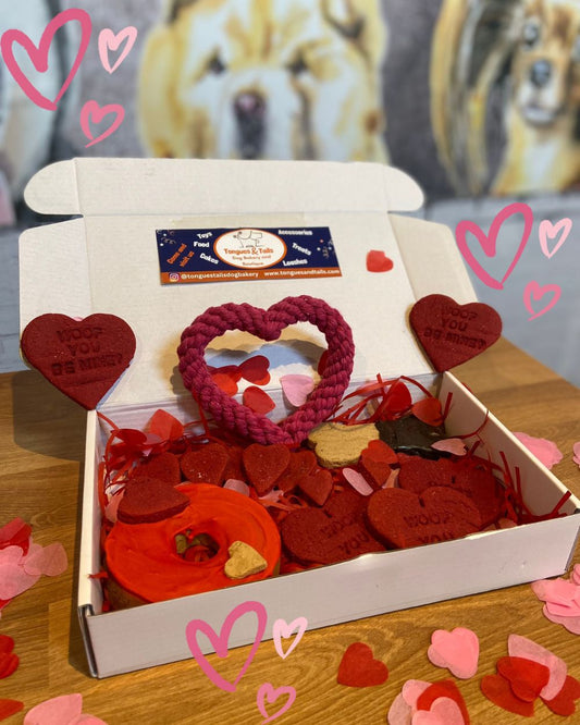 Valentine's Dog Treats Box